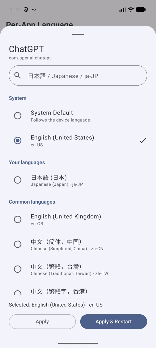 Language picker: presets and custom language tags