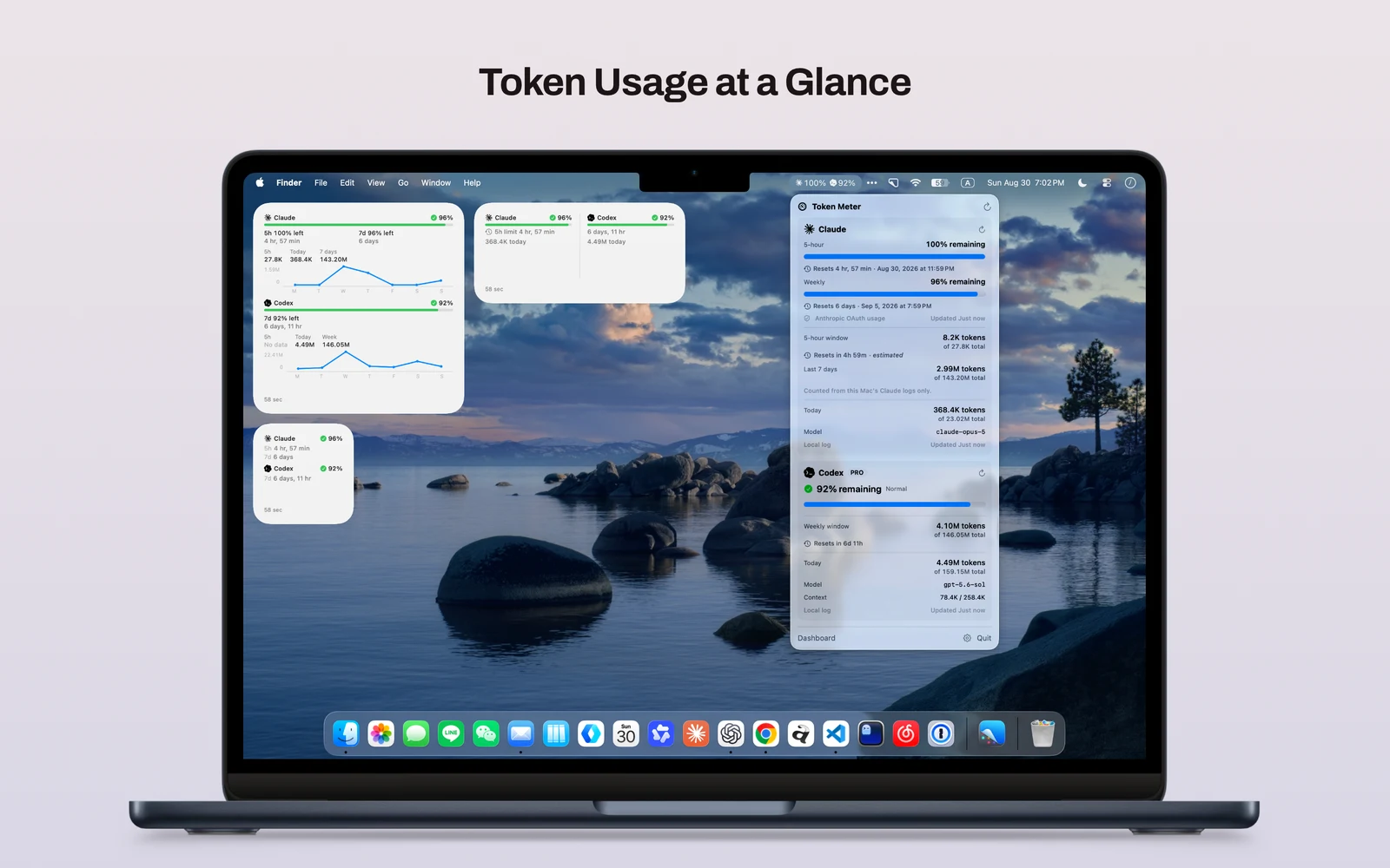 Claude Code and Codex usage in the Token Meter menu bar and widgets