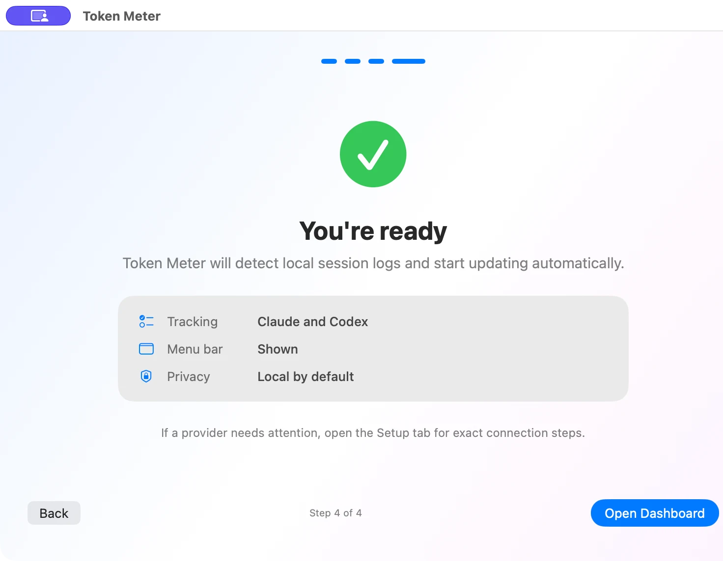 Token Meter 初始设置完成界面
